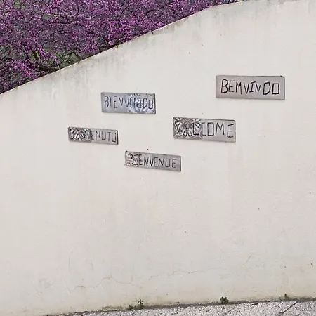 Sossego E Tranquilidade-valley Guest House-perto De Lisboa-estacionamento A Porta Do * Arruda dos Vinhos