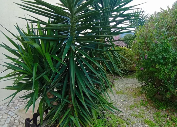 - Ou - Estacionamento A Porta * 阿鲁达杜什维纽什